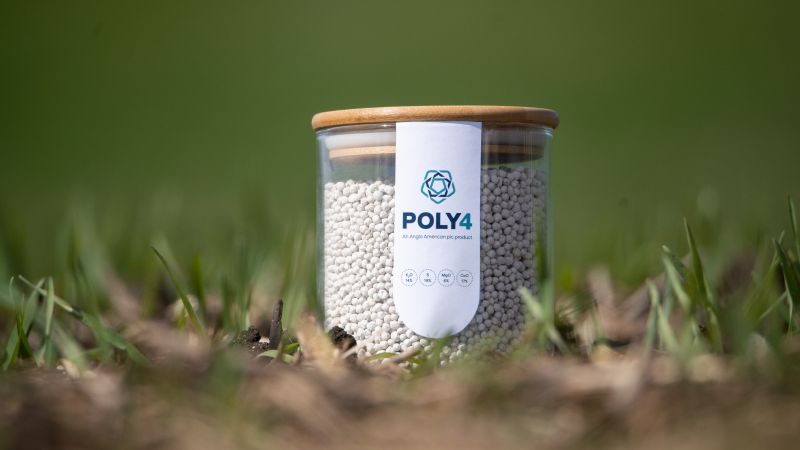 POLY4: el fertilizante mineral natural ideal para pistacho, olivar, viñedo y cereal