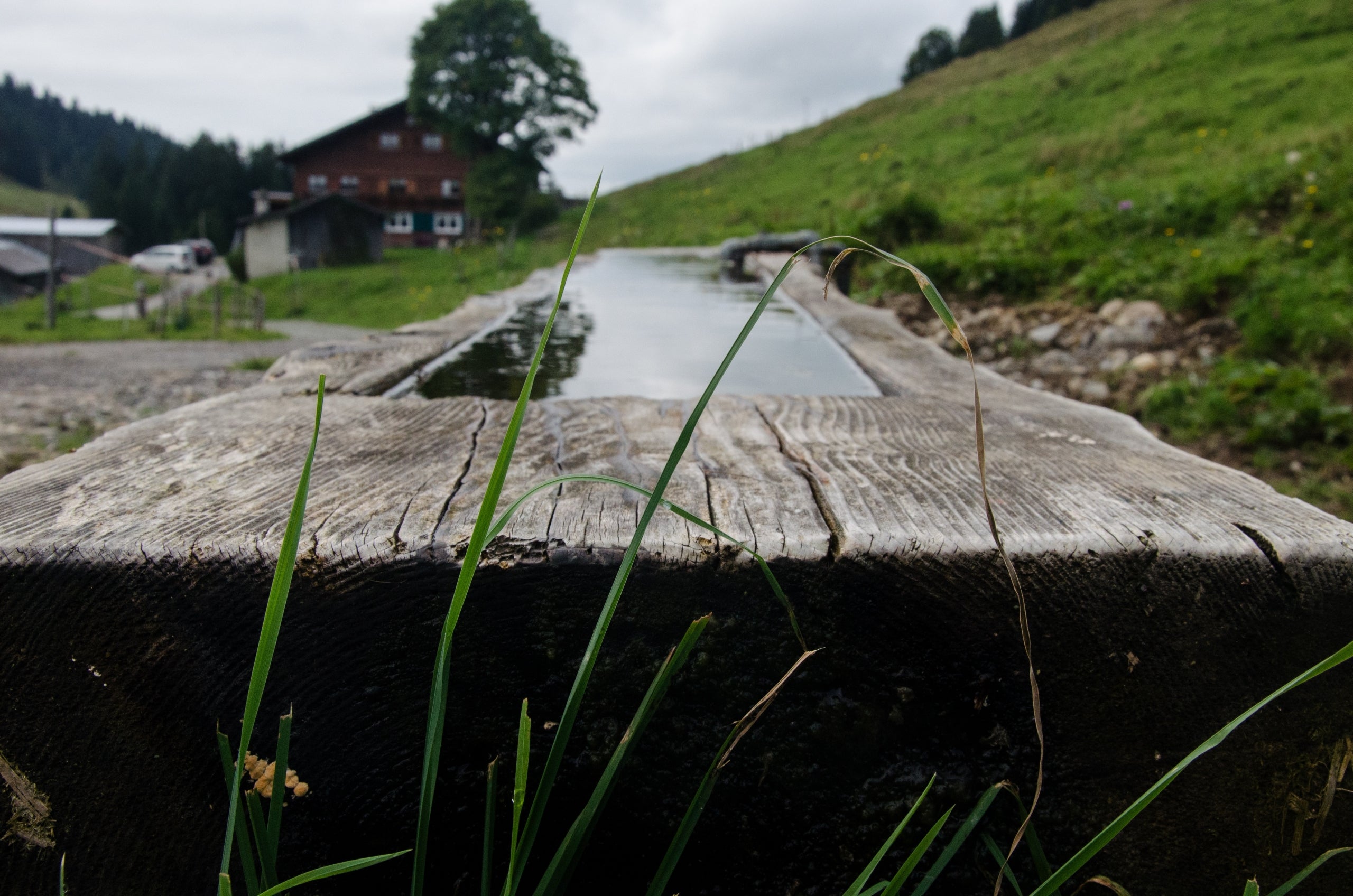 VacaFresh: la solución al estrés térmico del ganado