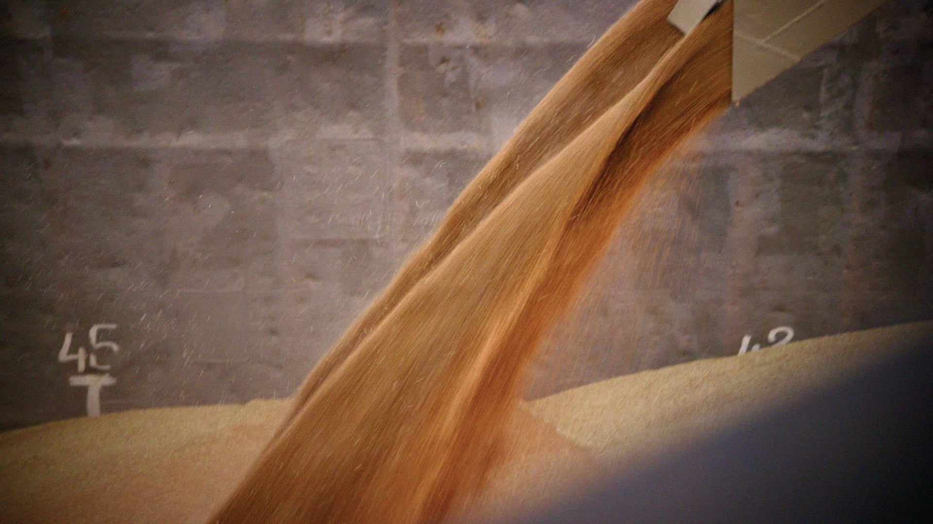 Soja certificada y sostenible