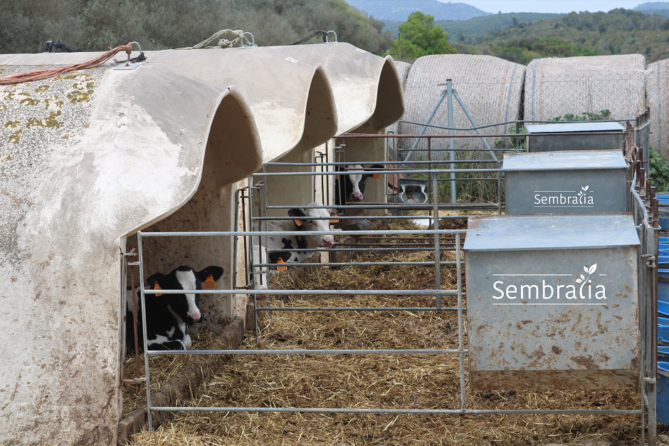 Protección para los animales en verano