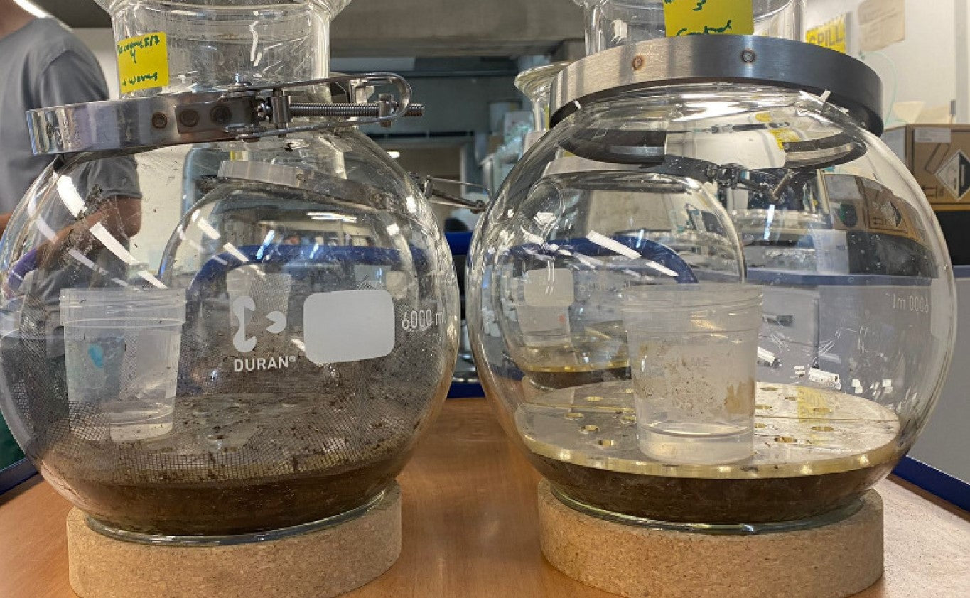 RECOVER: un proyecto para favorecer la circularidad de los plásticos