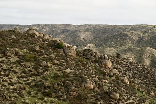 Boom en la compra de fincas rústicas