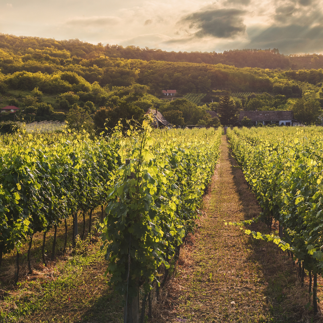 Llega el I Congreso Ibérico de Fincas Rústicas