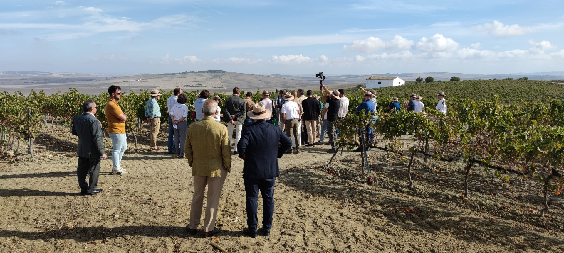 INVITEC: cultivo ecológico en Jerez de Pedro Ximenez