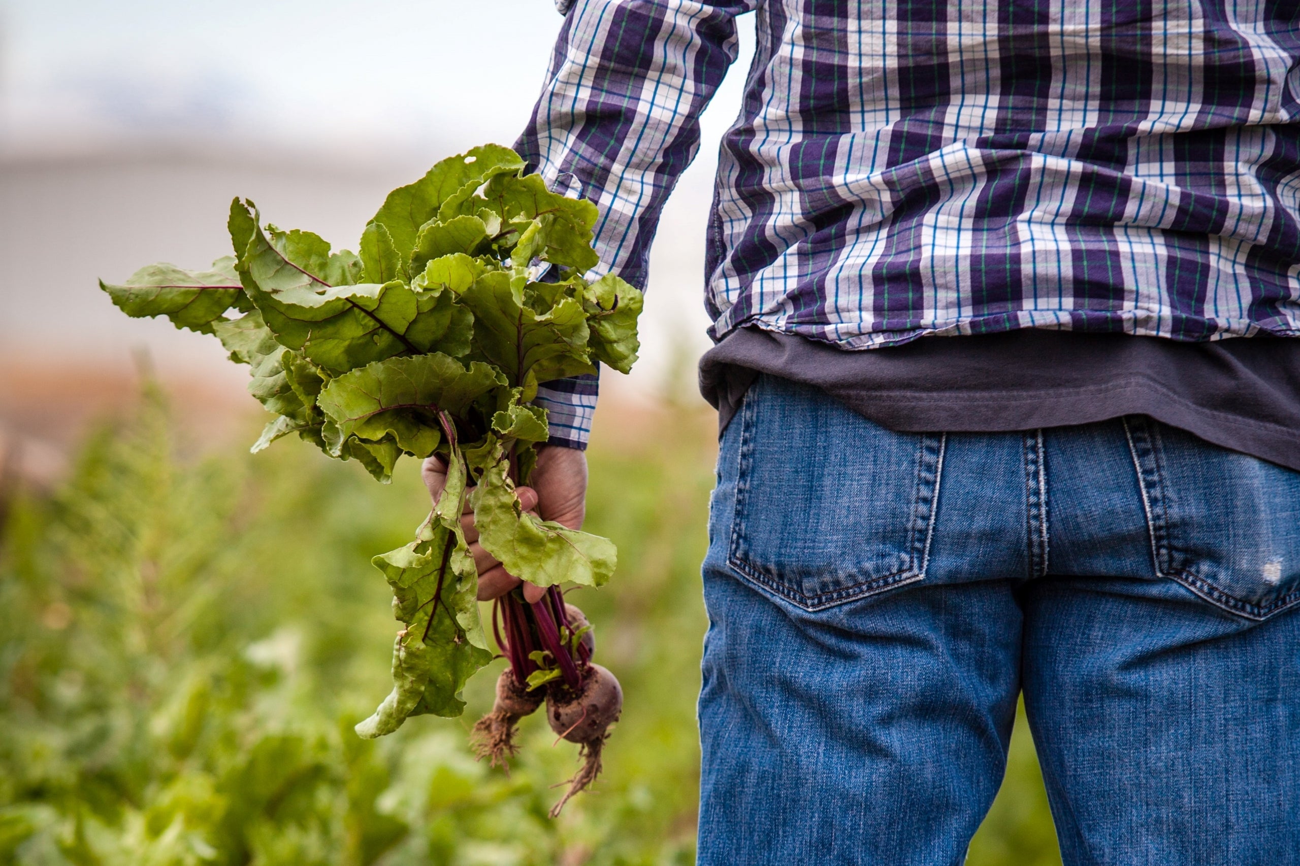 Ante el COVID19, en Sembralia estamos preparados