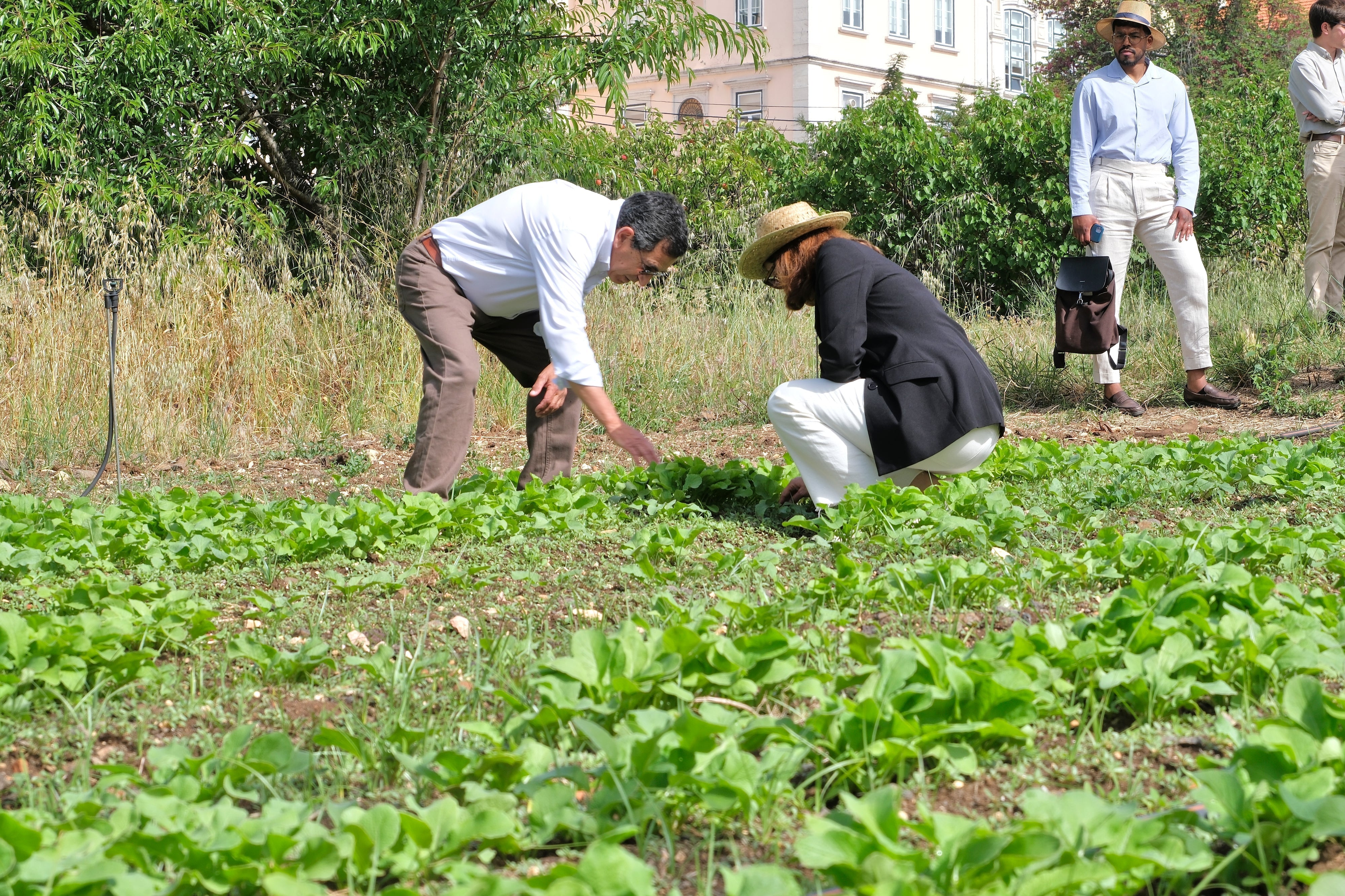 Buenas prácticas agrícolas, laborales y sociales