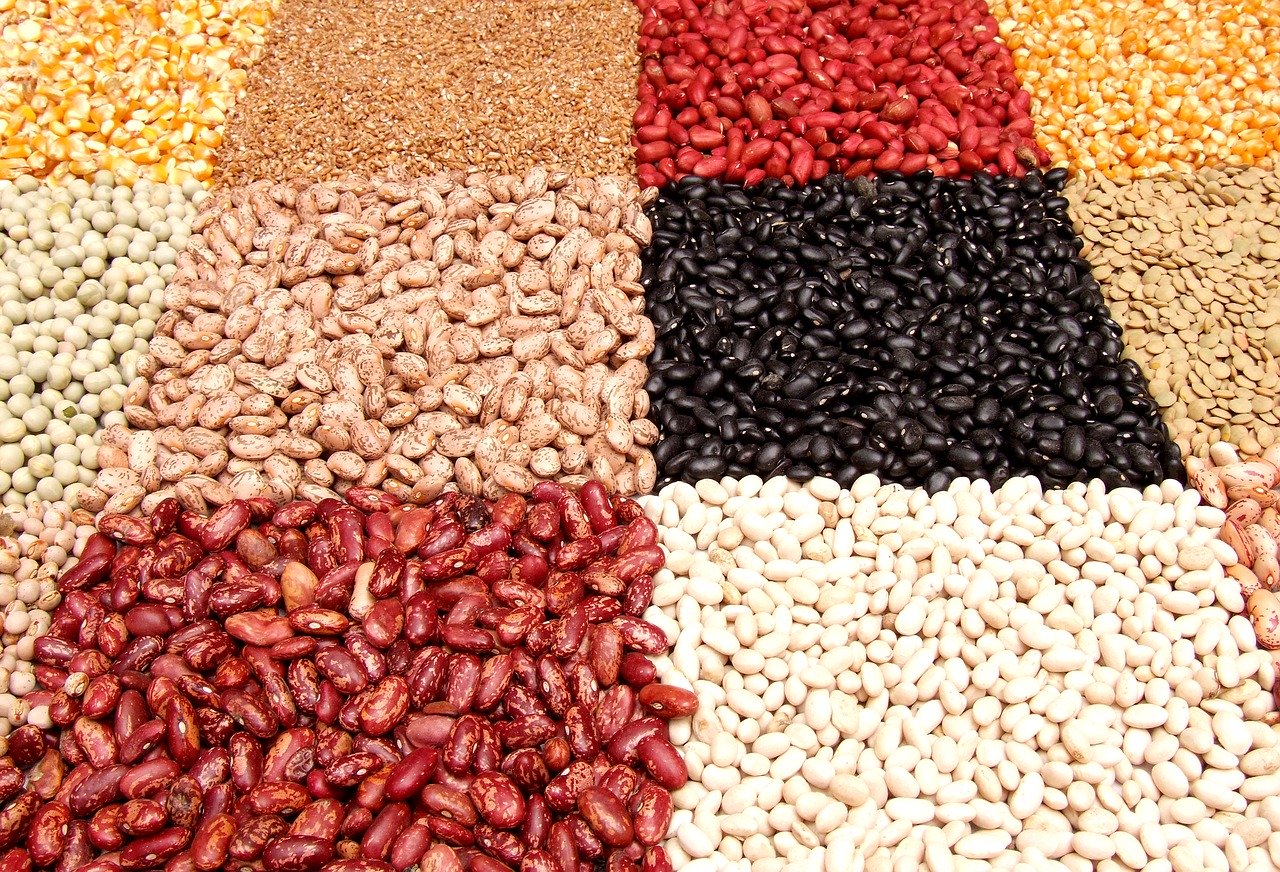 Legumbres, un alimento sano y sabroso