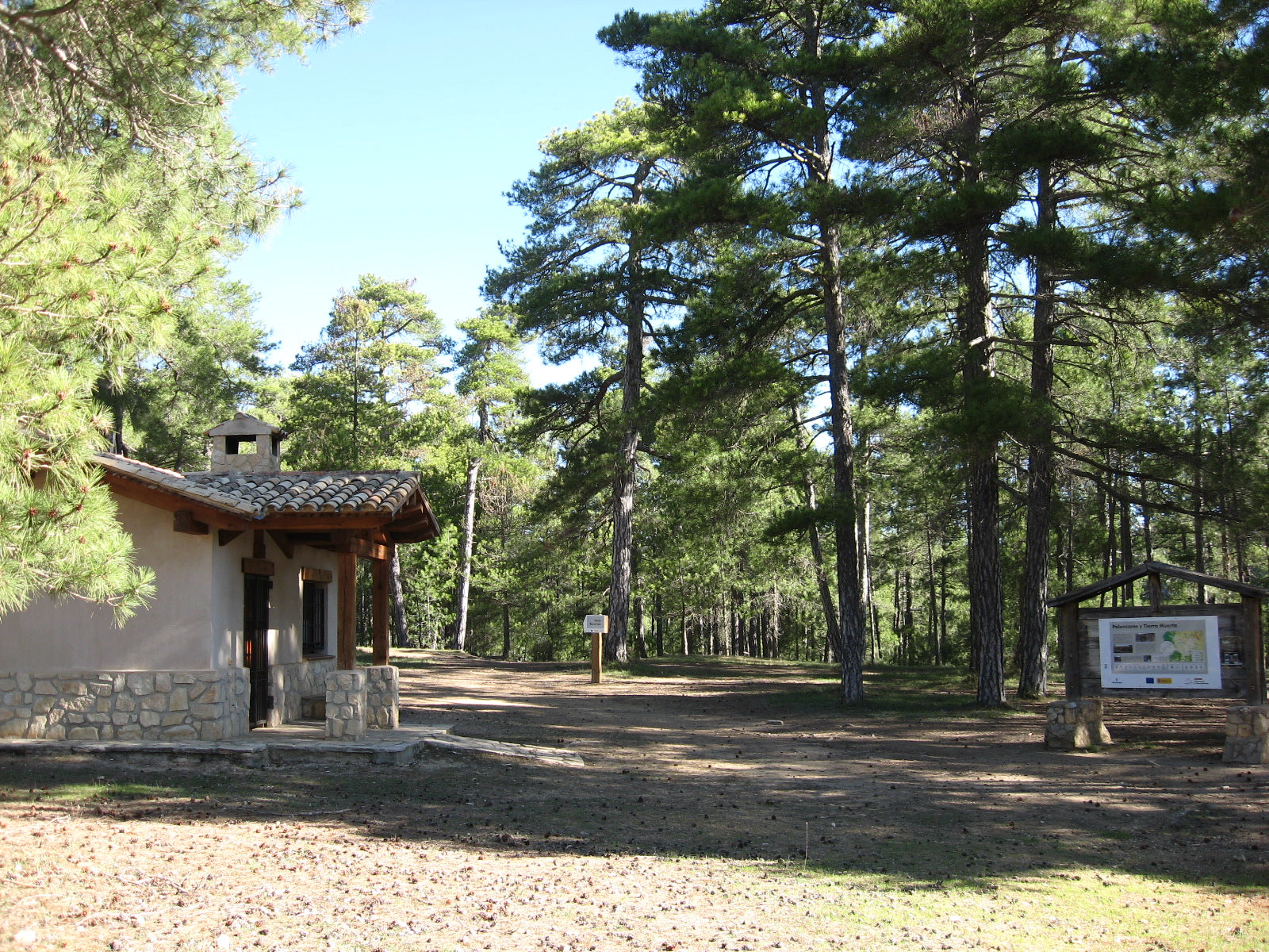 Conoce estos 10 productos que salen del bosque