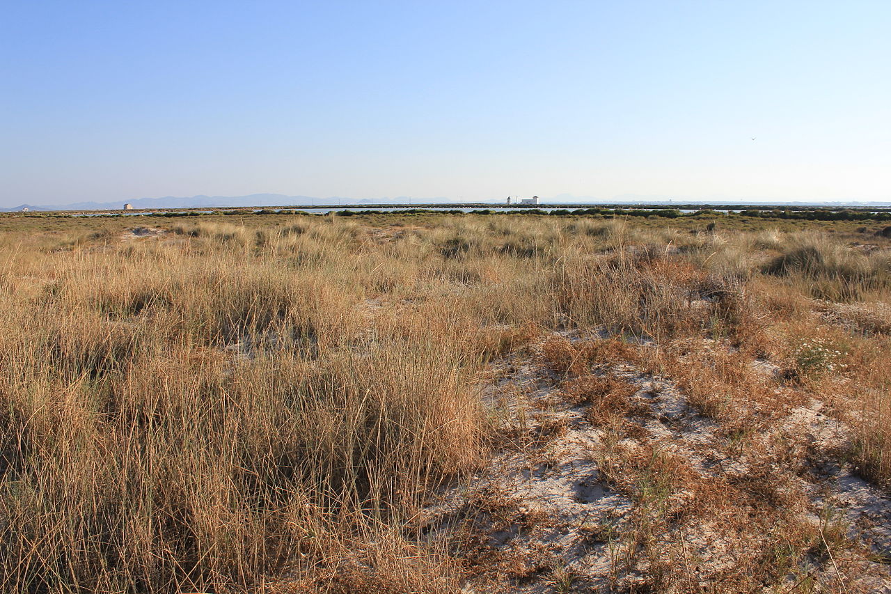 Acabar con la agricultura no salvará el Mar Menor