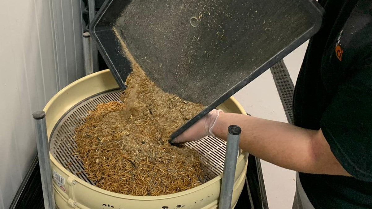 La solución de reciclaje a los plásticos agrícolas