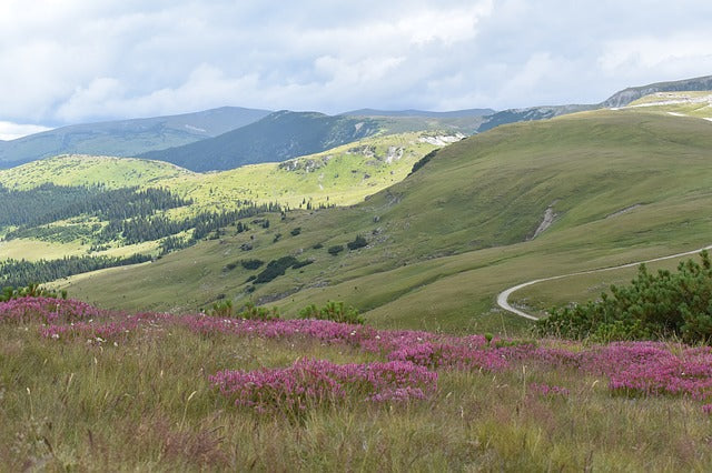 Día Mundial de la Tierra | 22 de abril
