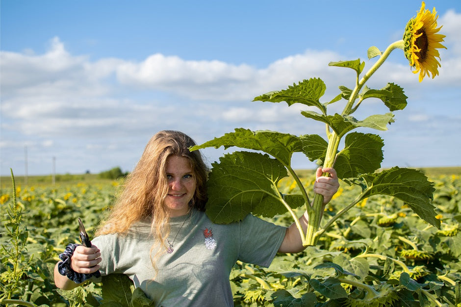 Las innovaciones digitales atraen de nuevo a los jóvenes a la agricultura