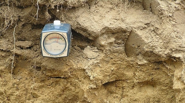 Suelos alcalinos, te mostramos cómo bajar el pH. ¿Cómo neutralizar o corregirlo? Posibles soluciones para mejorar los suelos