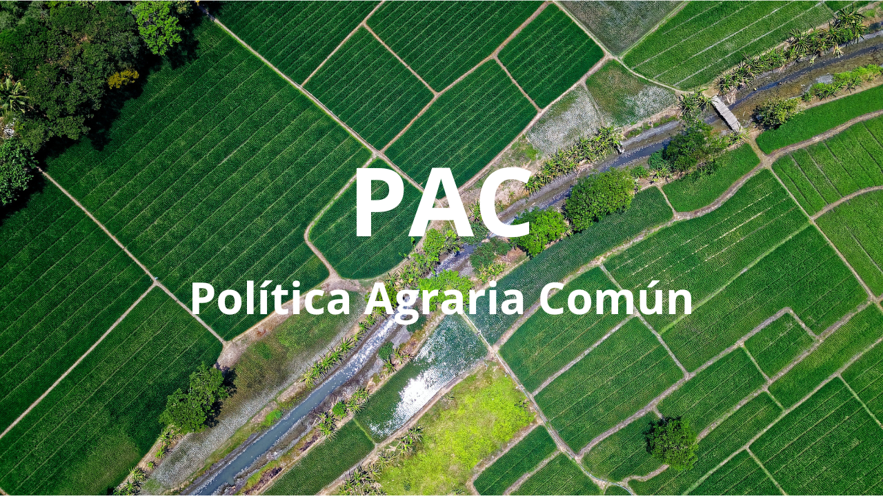 Ayudas de la Política Agraria Común-Sembralia