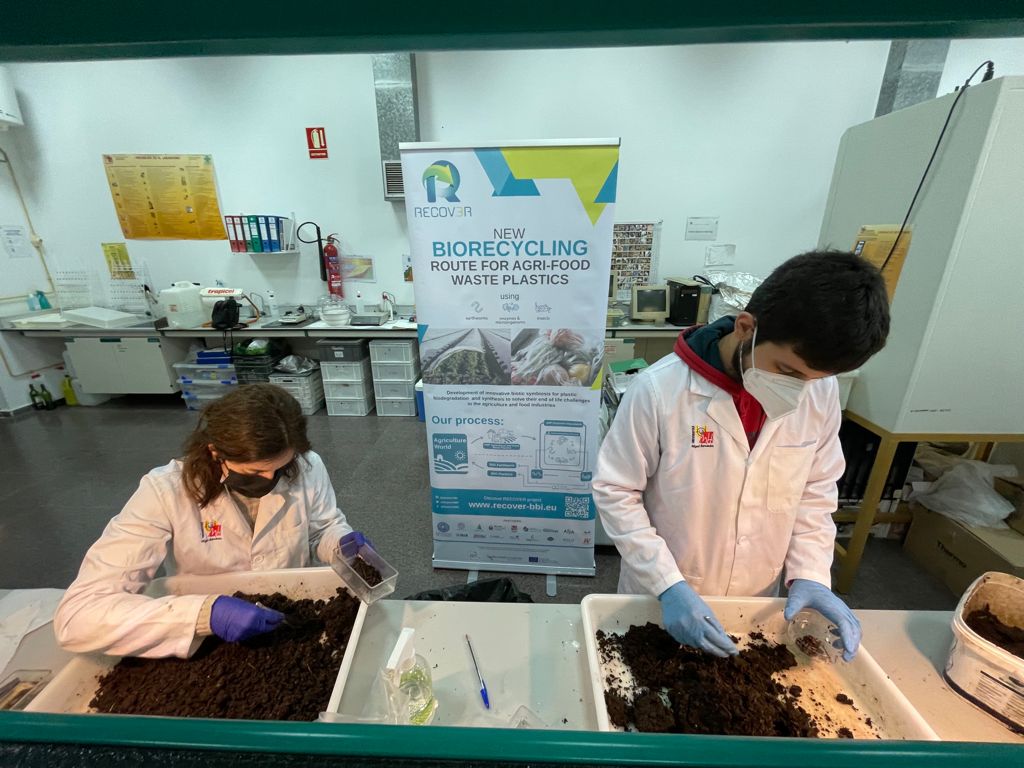 Lombrices que combaten la contaminación por plásticos