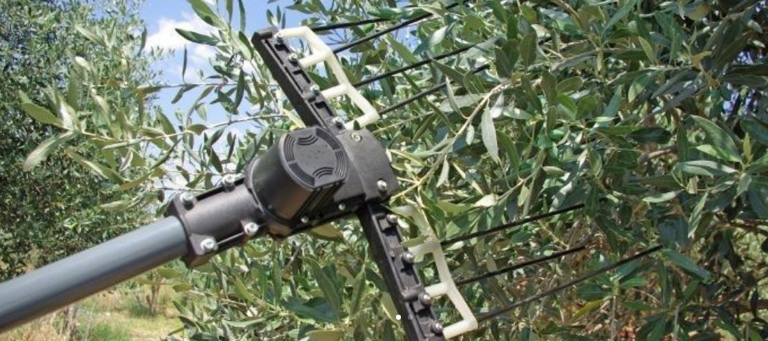 Varillas de carbono para vareo: resistentes y ligeras