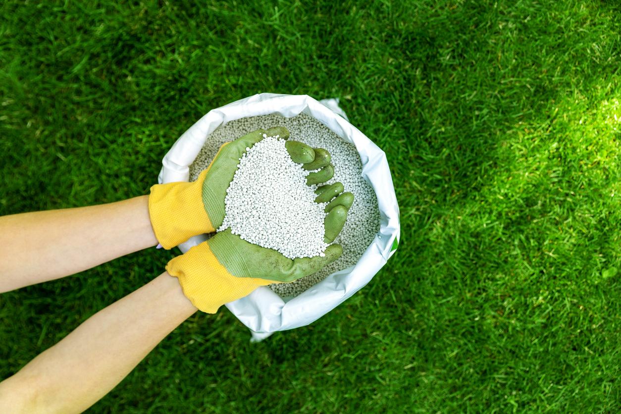 Tipos de abonos para césped ¿Cómo elegir el mejor fertilizante y cuáles son las necesidades de abonado para tu espacio verde?