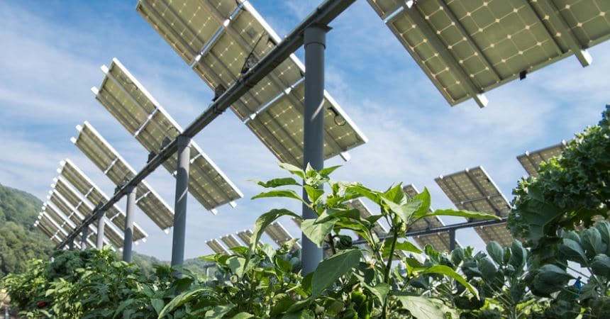 ¿Cómo es el uso de energía en el sector agrícola?