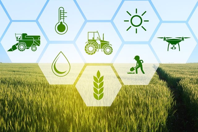 Agricultura digital (transformación digital del sector agrario)