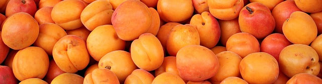 Cultivo el albaricoque: ¿qué debemos tener en cuenta?