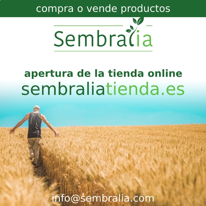 Anuncio apertura tienda online