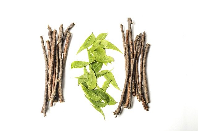Yukha, un fertilizante 100% ecológico y vegano