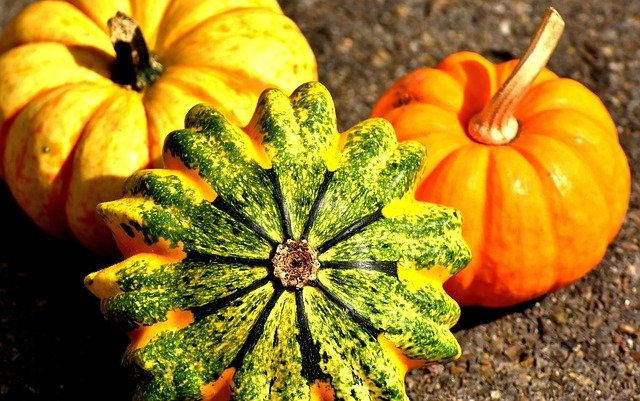 Tips para el correcto abonado de la calabaza