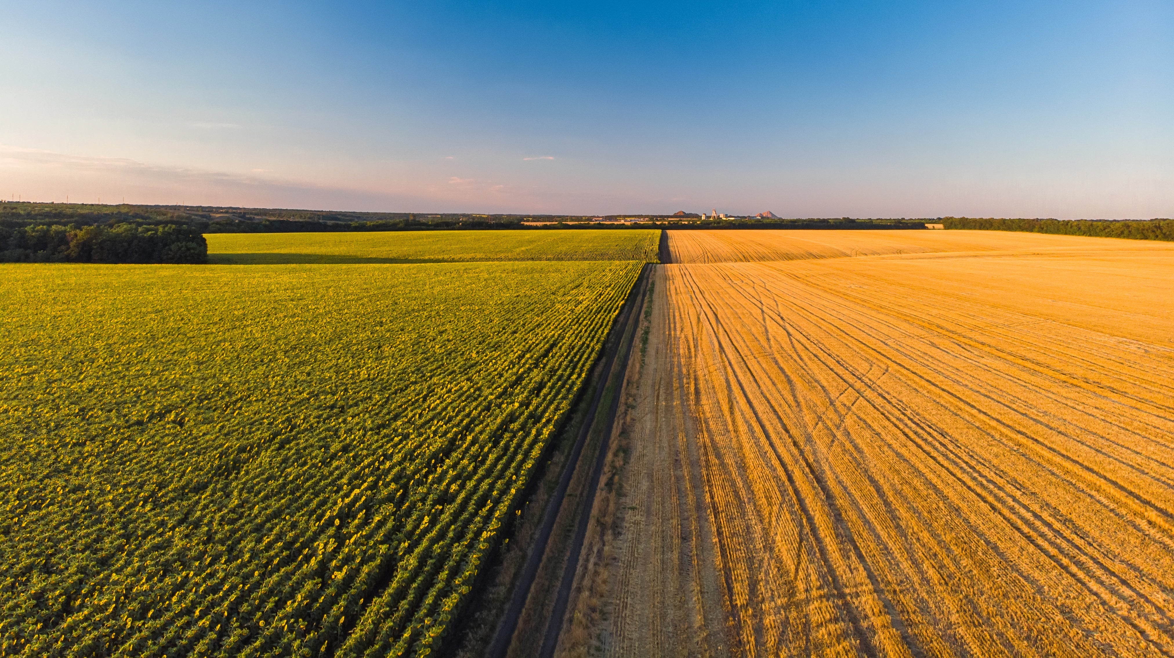 Tendencias en Agricultura y Jardinería para 2026 | Innovación y Sostenibilidad