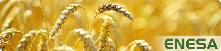ENESA