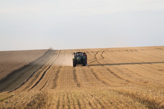 Cosecha 2020: previsiones de Cooperativas Agroalimentarias de España