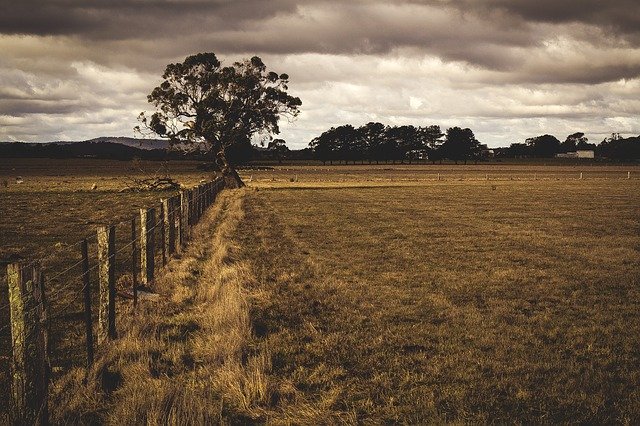 Agroseguro: las indemnizaciones del primer semestre ascienden a 92 millones