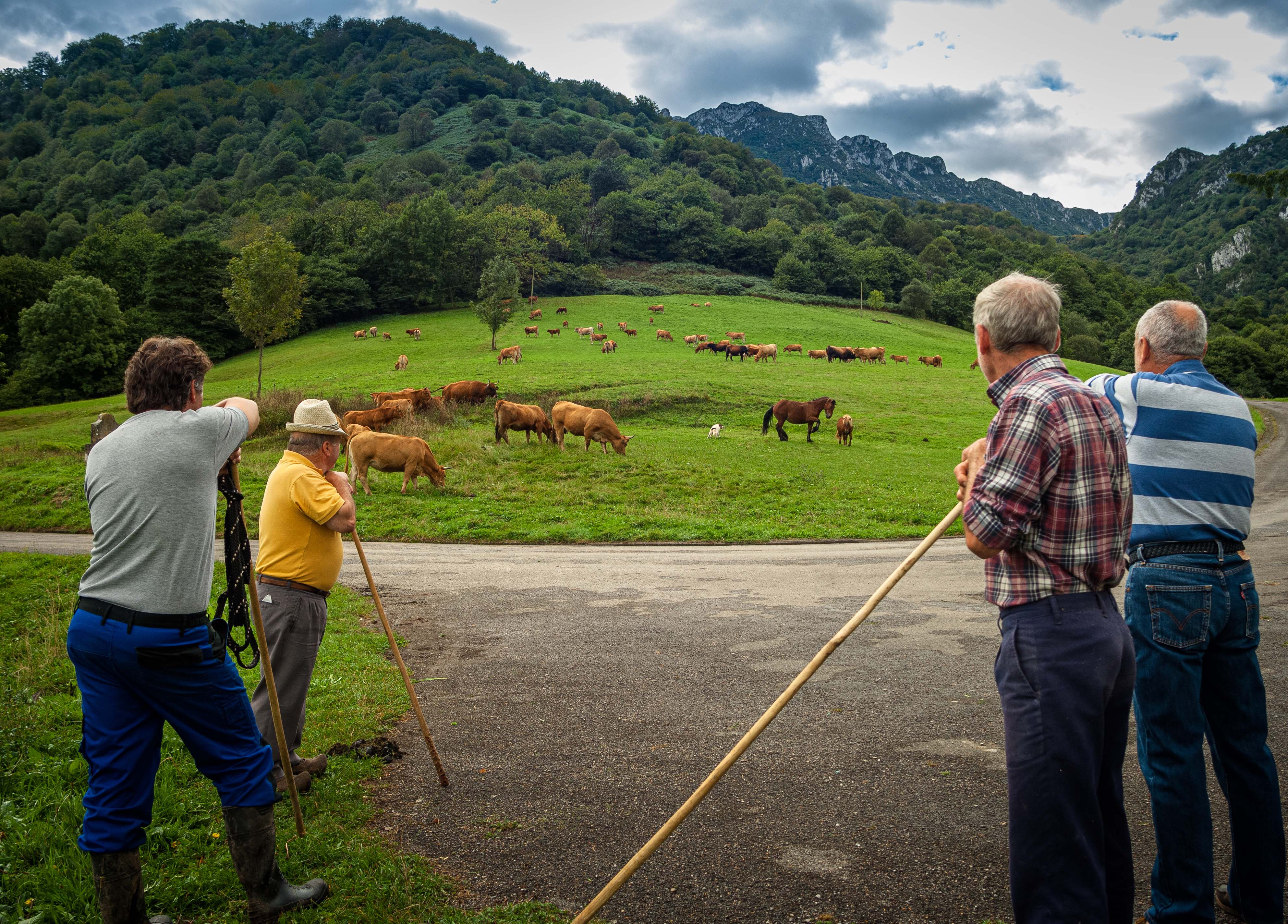 Primer Simposio Internacional sobre Bienestar Animal