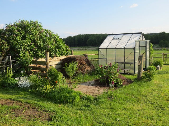Cinco mini invernaderos para proteger los tomates de tu huerto urbano (y  otros cultivos) de la lluvia, el frío y los caracoles
