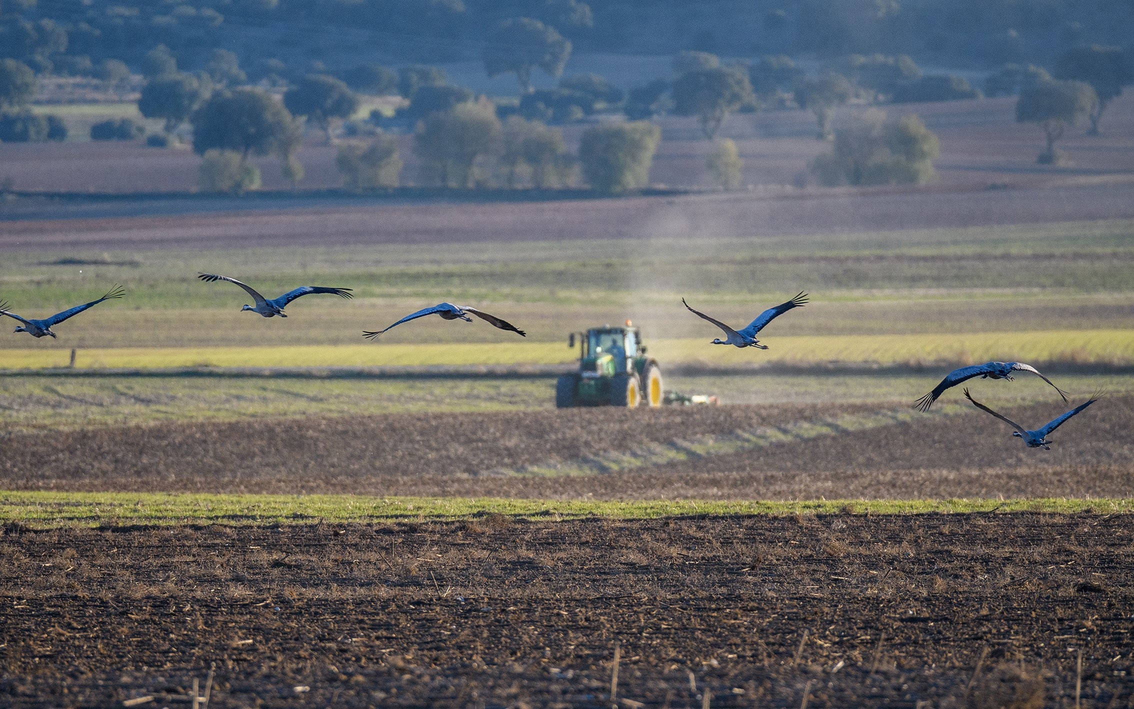 Agricultura compatible con biodiversidad