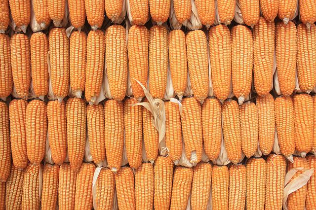 Inquietudes de los mercados de materias primas