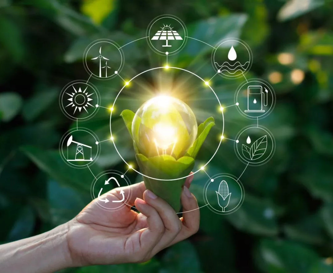 Digitalización: una transformación paulatina e imprescindible