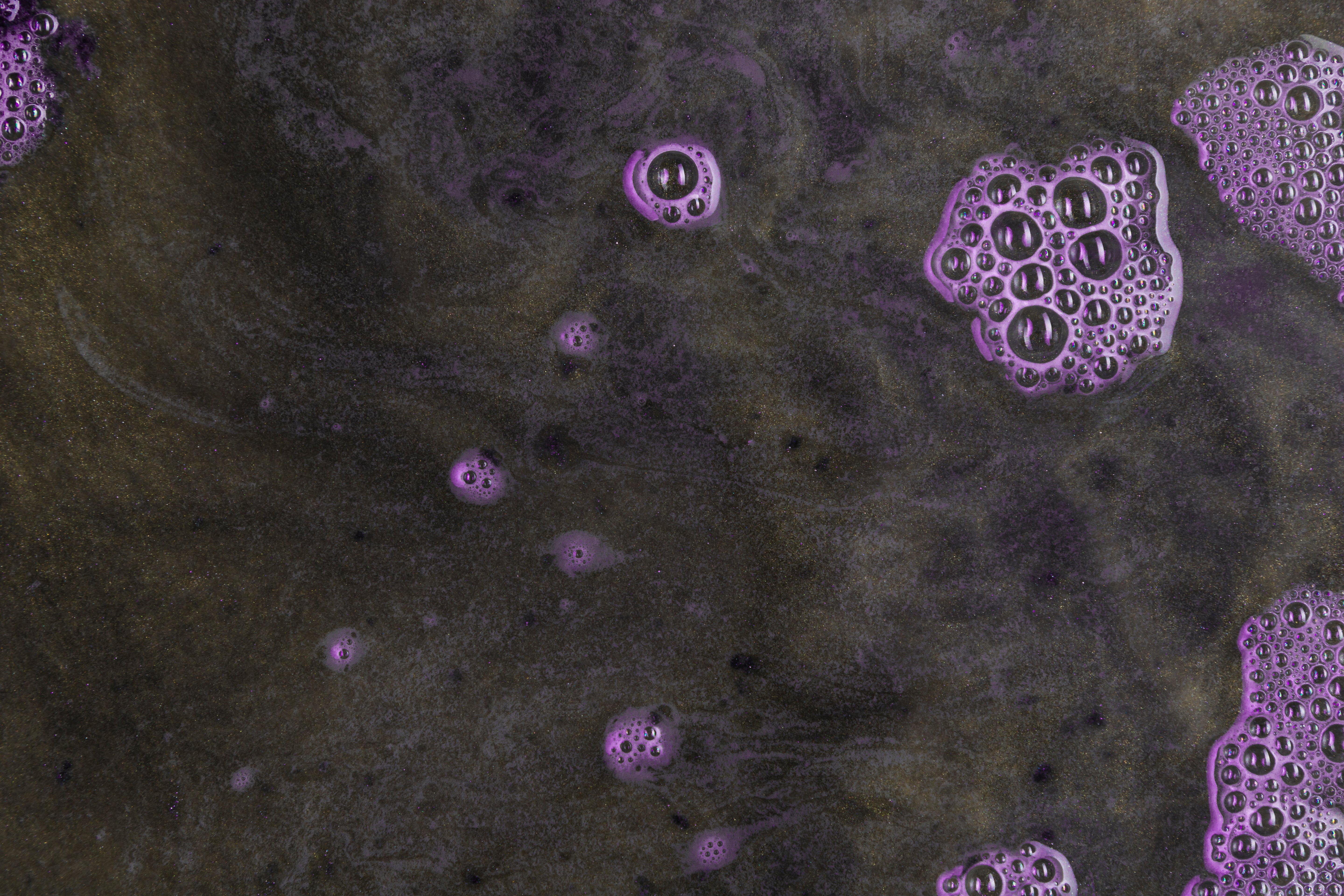 La importancia de la microbiología del suelo: el motor invisible de tus cultivos