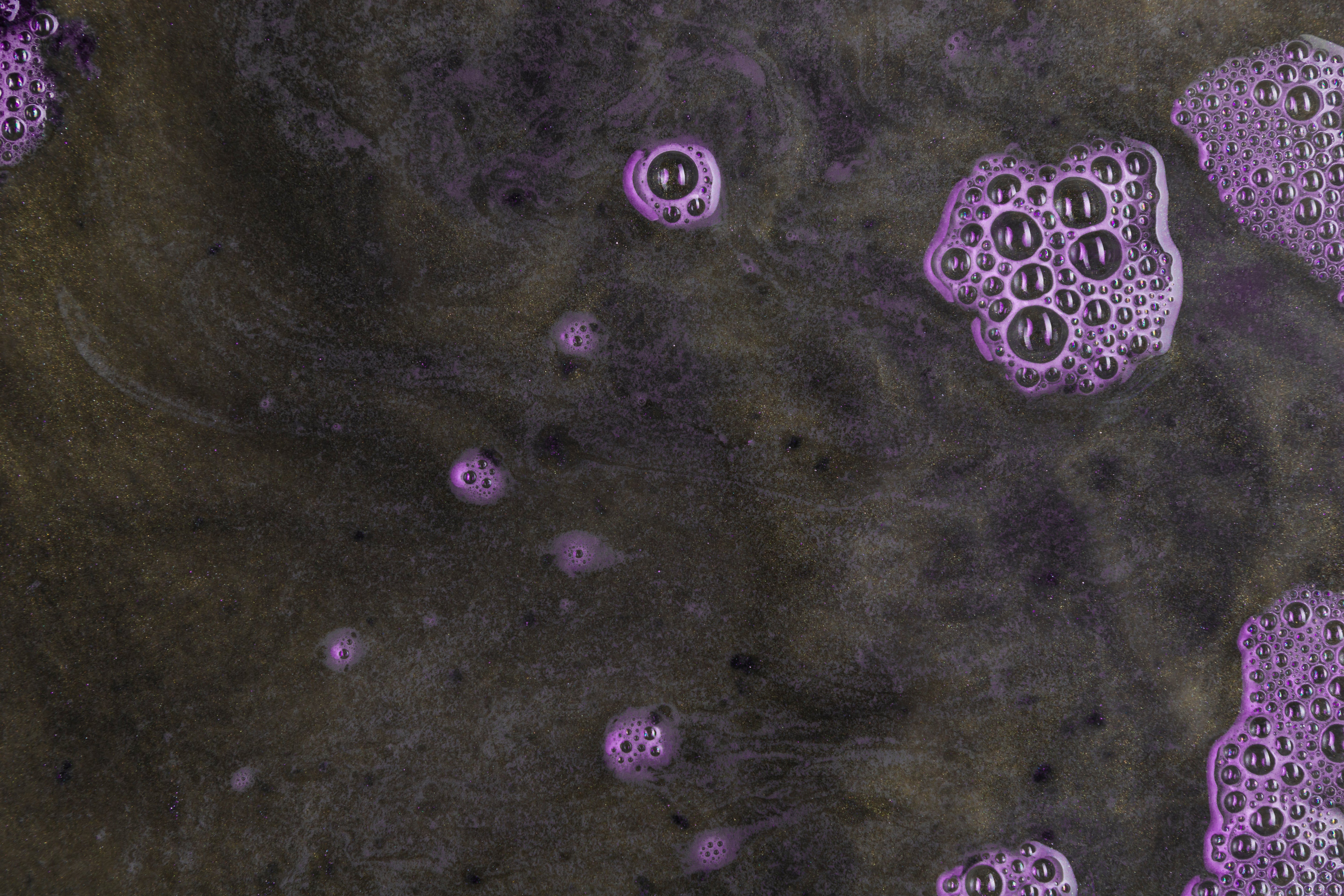 La importancia de la microbiología del suelo: el motor invisible de tus cultivos