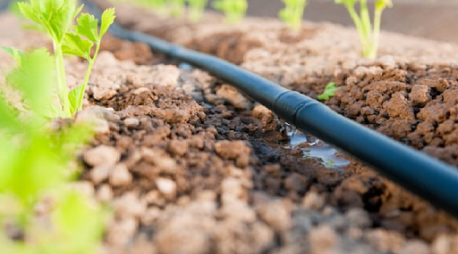 riego por goteo