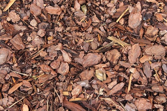 Tipos de sustrato para plantas