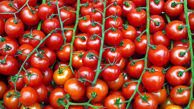 ¿Cómo se clasifican los Fertilizantes Minerales? Claves que debes conocer para elegir el correcto