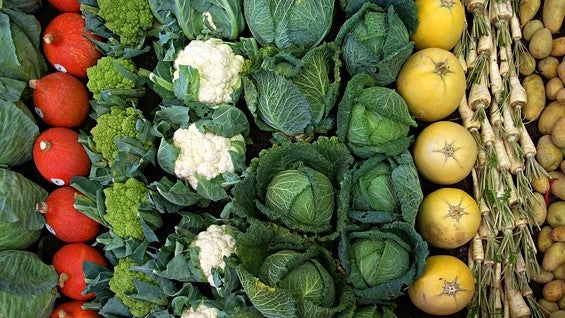 YaraVita Starphos: lo que tus plantas necesitan para cubrir las carencias de fósforo