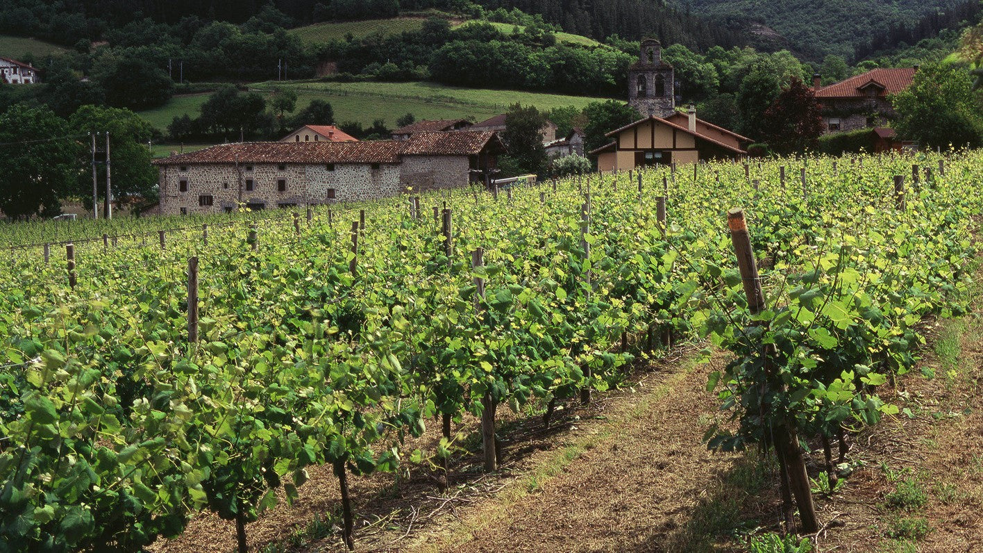 Cubiertas todas las ayudas al sector del vino por la crisis del COVID19