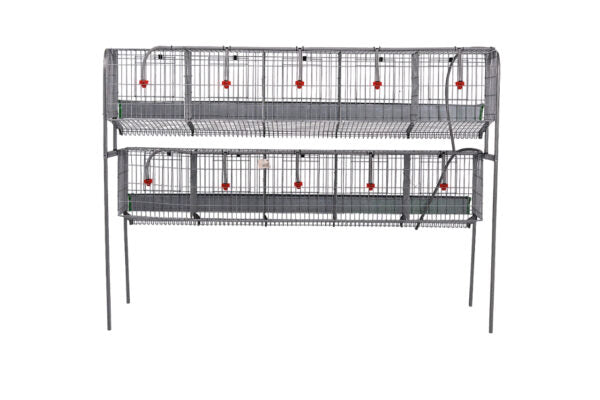 Modelo A-5 para gallinas – Jaula para gallinas ponedoras con recogehuevos y bebedero