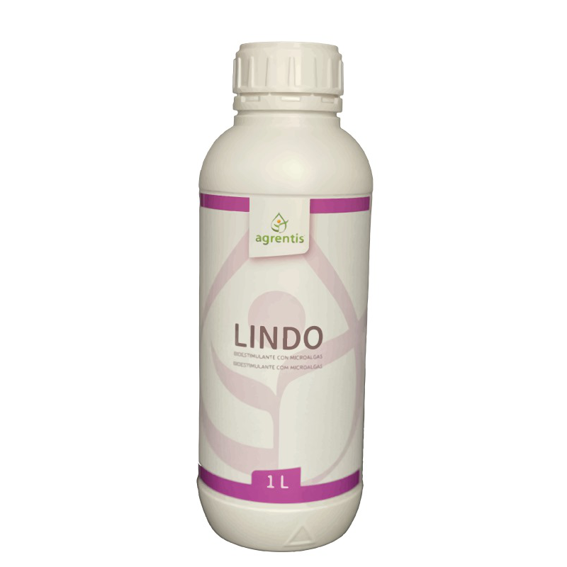 LINDO - Extracto natural de algas