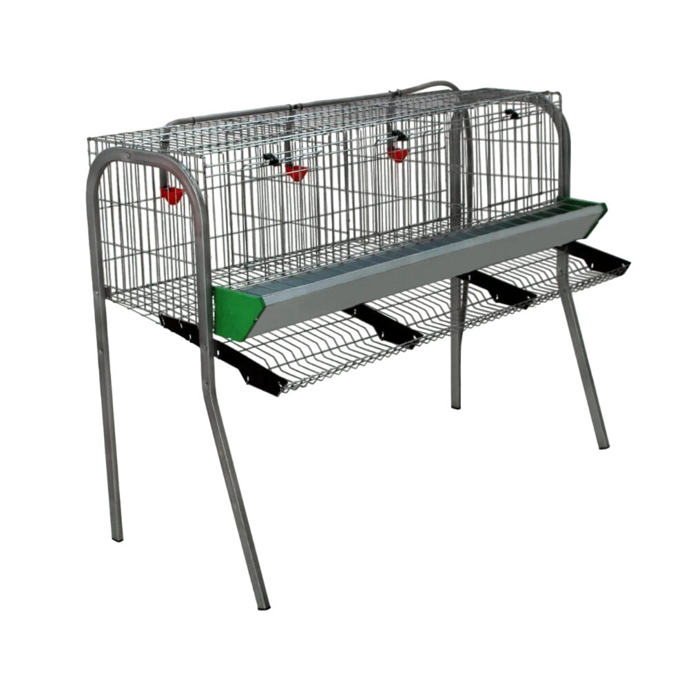 Modelo A-3 para gallinas – Jaula para gallinas ponedoras con recogehuevos y bebedero