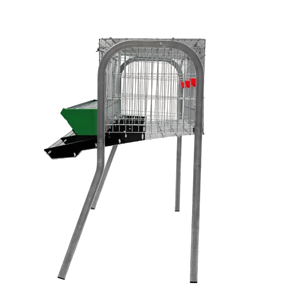 Modelo A-3 para gallinas – Jaula para gallinas ponedoras con recogehuevos y bebedero