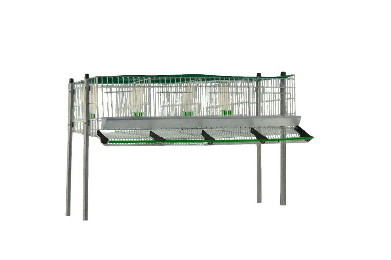 Modelo Codornices C-4 – Cuatro Compartimentos con Accesorios