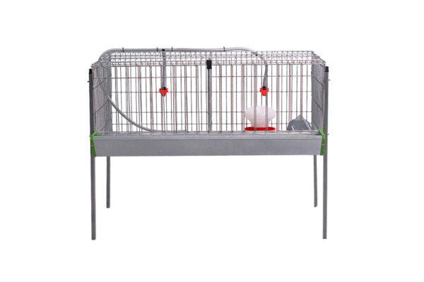 Modelo Pollos Poly-2 – Engorde con Comedero y Bebedero