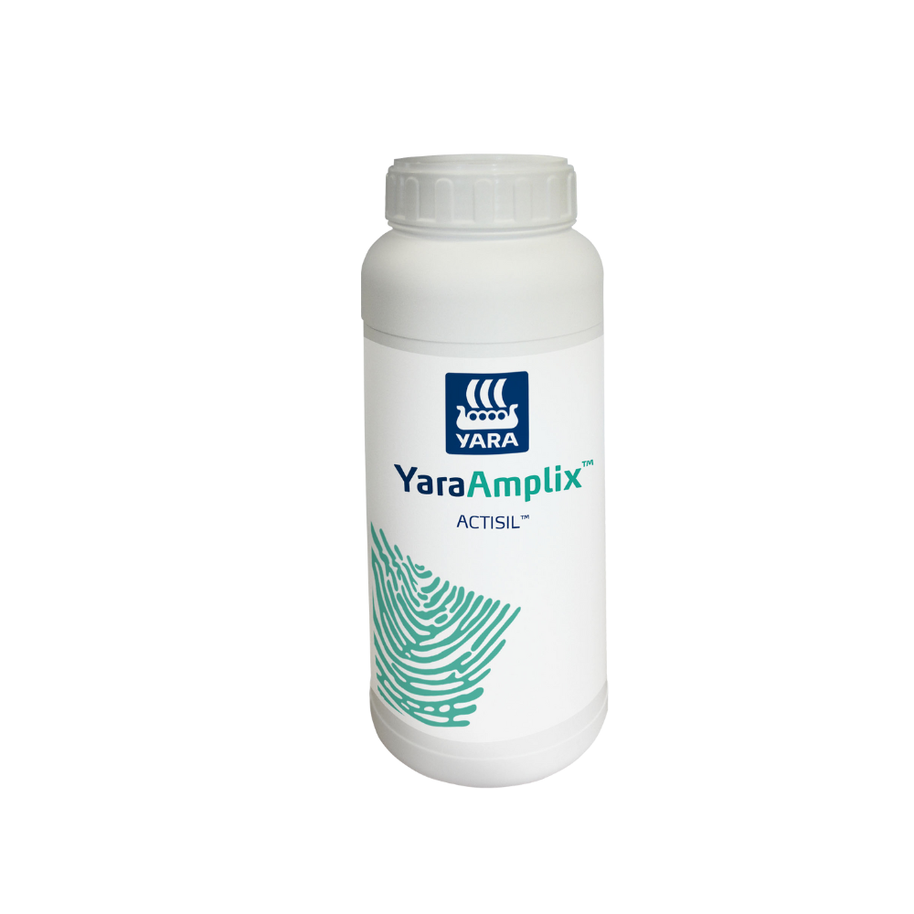 YaraAmplix Actisil - Bioestimulante a base de materia orgánica y ácido ortosilícico Caja 12 unidades de 1L